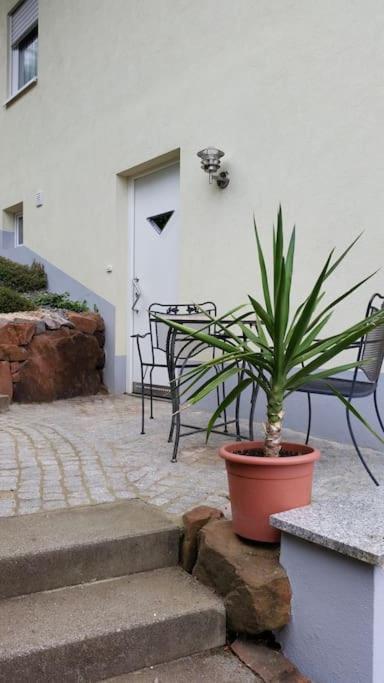 Ferienwohnung Talblick Im Schwarzwald Seelbach  Exterior foto