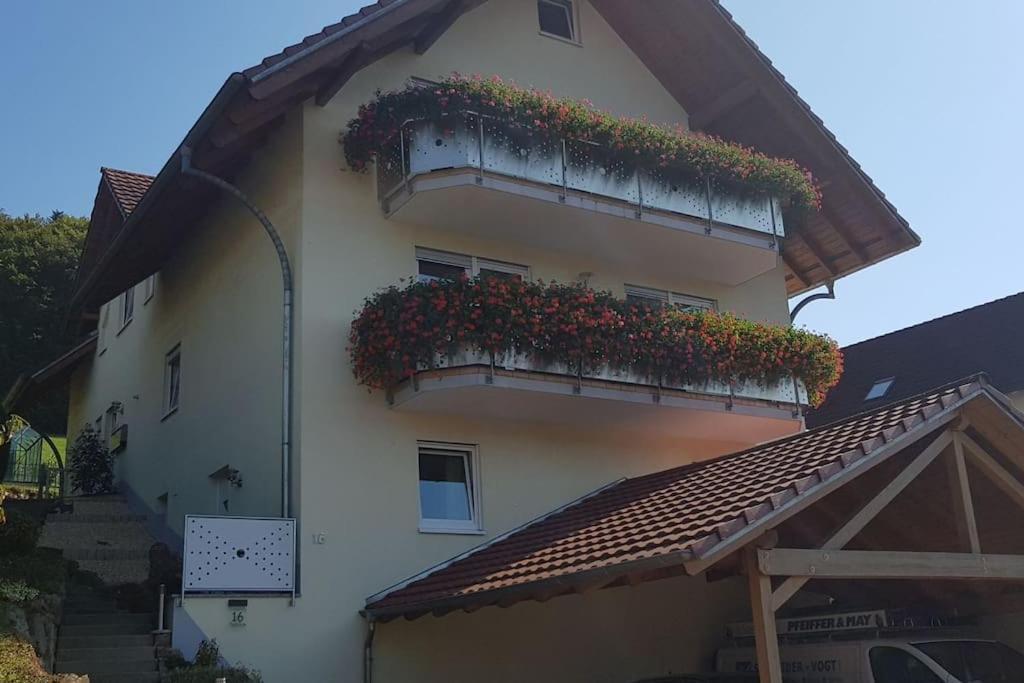 Ferienwohnung Talblick Im Schwarzwald Seelbach  Exterior foto
