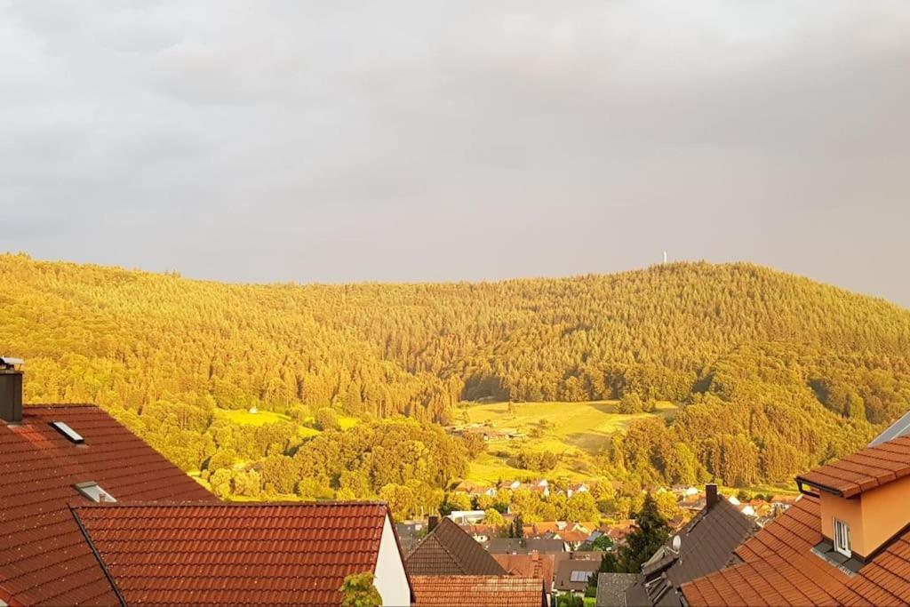 Ferienwohnung Talblick Im Schwarzwald Seelbach  Exterior foto