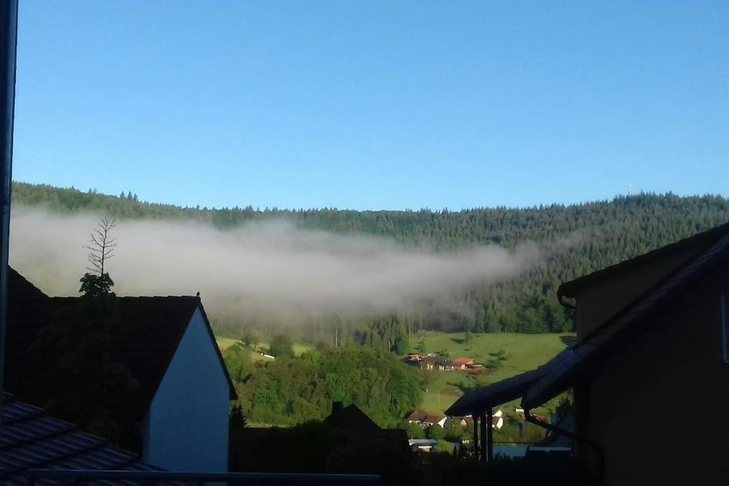 Ferienwohnung Talblick Im Schwarzwald Seelbach  Exterior foto