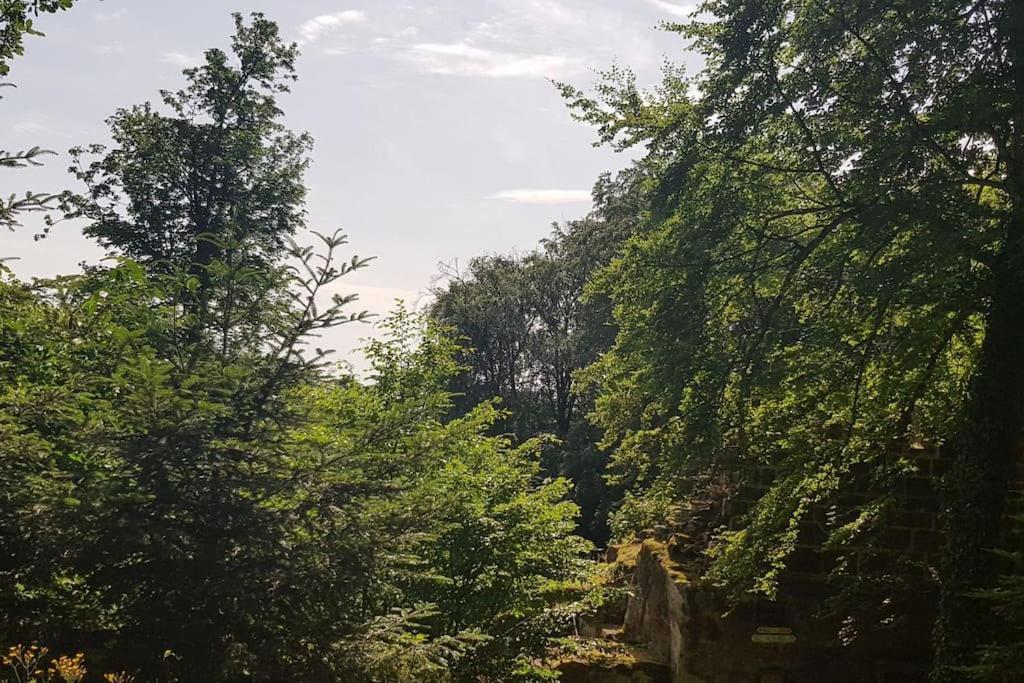 Ferienwohnung Talblick Im Schwarzwald Seelbach  Exterior foto