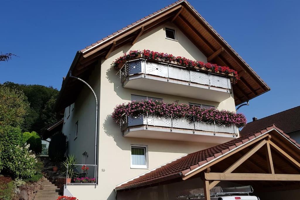 Ferienwohnung Talblick Im Schwarzwald Seelbach  Exterior foto