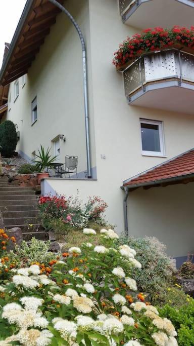 Ferienwohnung Talblick Im Schwarzwald Seelbach  Exterior foto