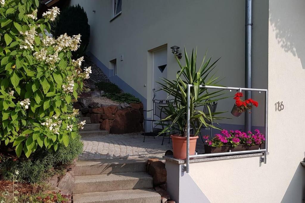 Ferienwohnung Talblick Im Schwarzwald Seelbach  Exterior foto